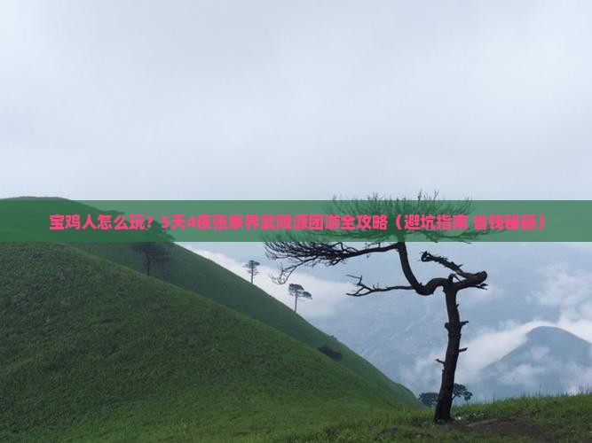 宝鸡去张家界武陵源团体旅游