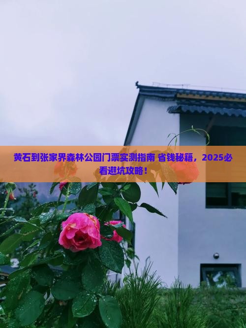 黄石到张家界森林公园门票