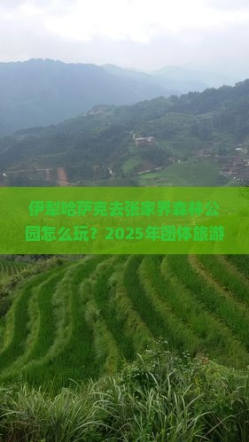 伊犁哈萨克去张家界森林公园团体旅游