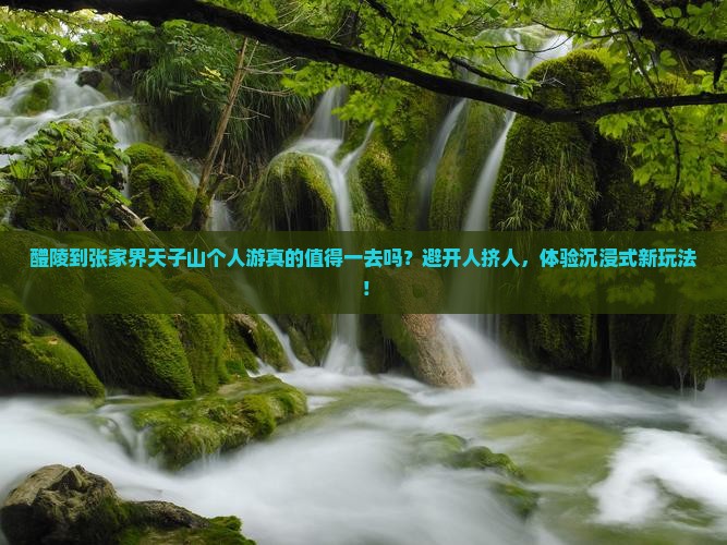 醴陵到张家界天子山个人游