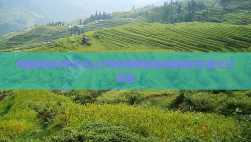昭通到张家界天子山大型旅游团
