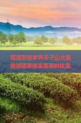 昭通到张家界天子山大型旅游团