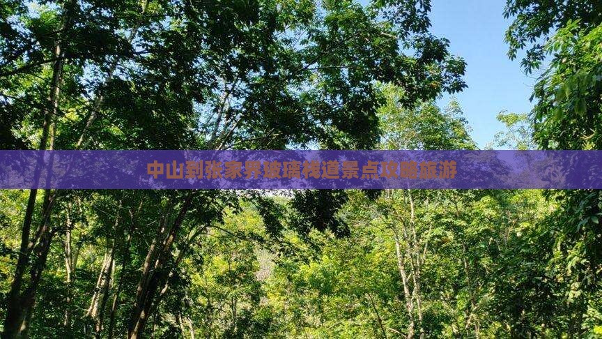中山到张家界玻璃栈道哪里玩