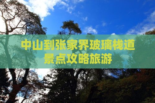 中山到张家界玻璃栈道哪里玩