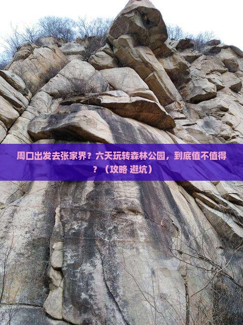周口到张家界森林公园六日游