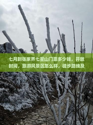 七月到张家界七星山门票