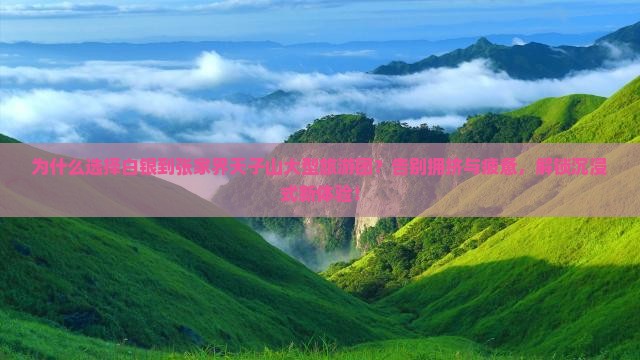 白银到张家界天子山大型旅游团
