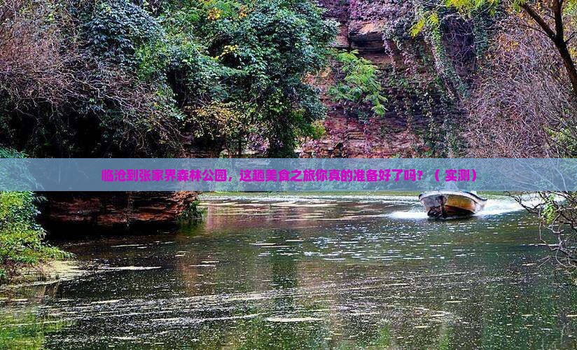 临沧到张家界森林公园旅游小吃