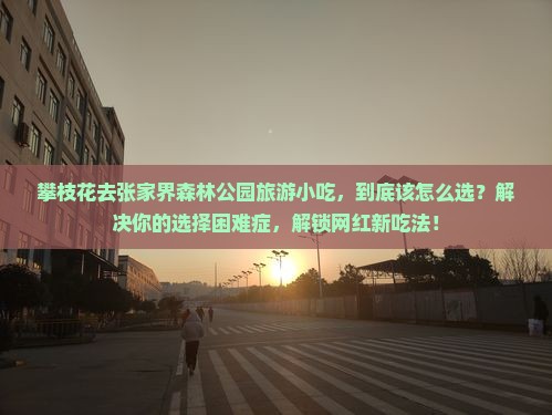 攀枝花去张家界森林公园旅游小吃
