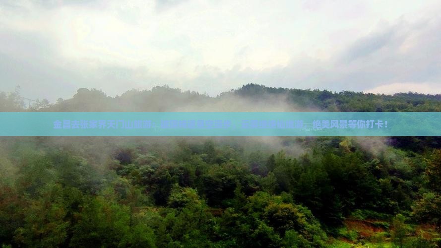 金昌去张家界天门山旅游