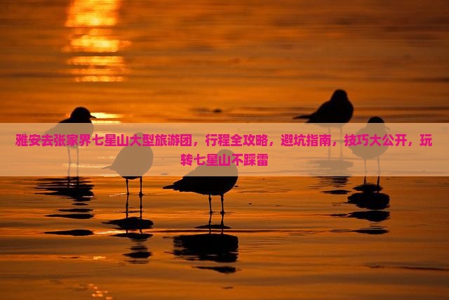雅安去张家界七星山大型旅游团