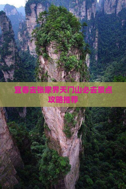 宜春去张家界天门山必去地