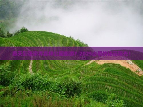 春天到张家界森林公园旅游