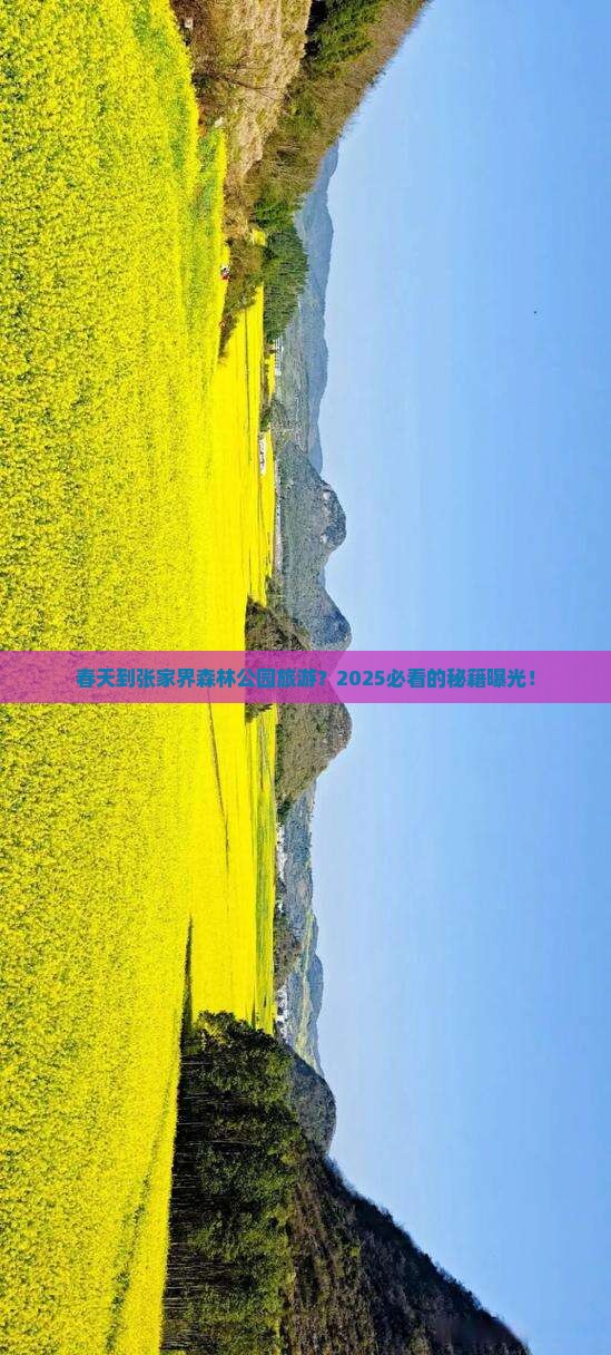 春天到张家界森林公园旅游