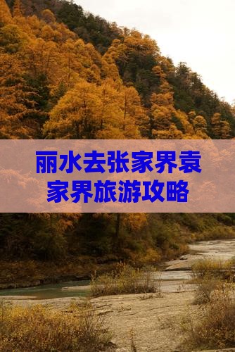 丽水去张家界袁家界攻略