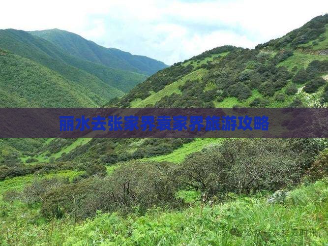 丽水去张家界袁家界攻略