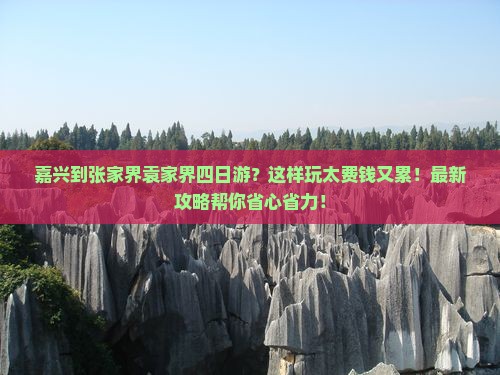 嘉兴到张家界袁家界四日游