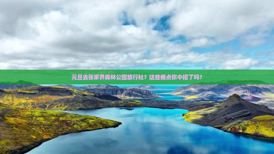 元旦去张家界森林公园旅行社