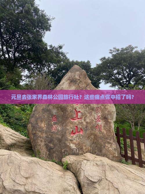 元旦去张家界森林公园旅行社