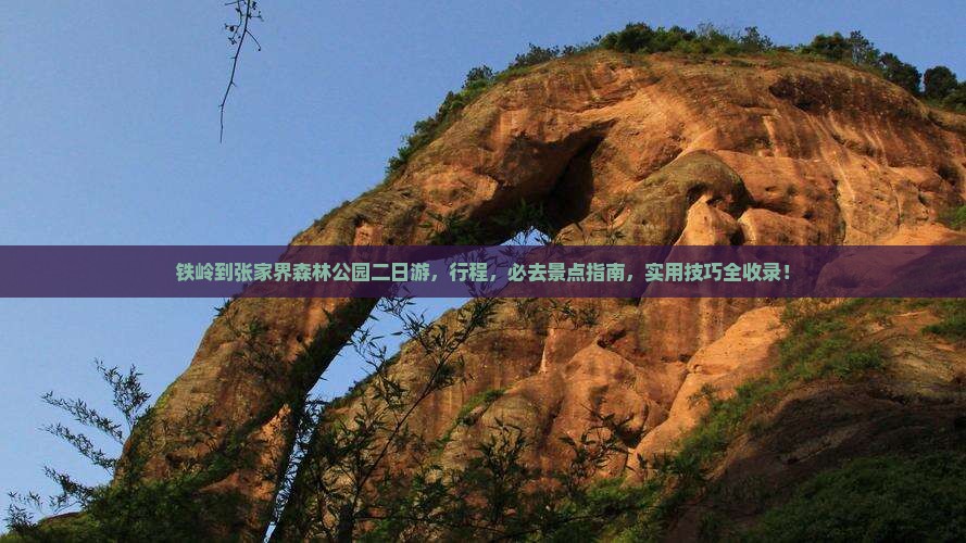 铁岭到张家界森林公园二日游 铁岭到张家界森林公园二日游