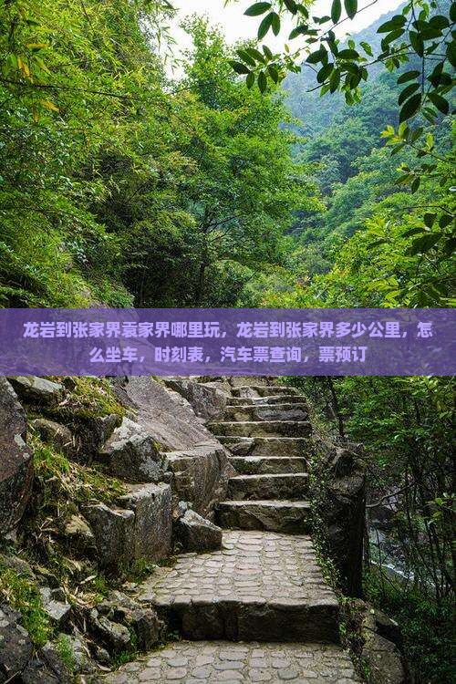 龙岩到张家界袁家界哪里玩