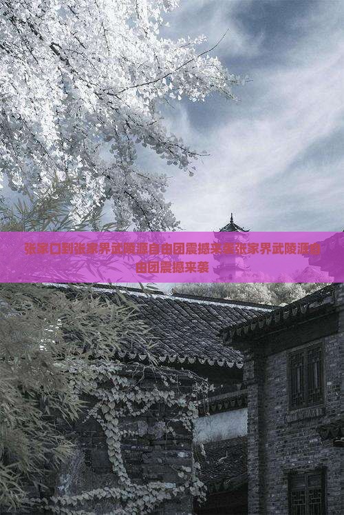 张家口到张家界武陵源自由团