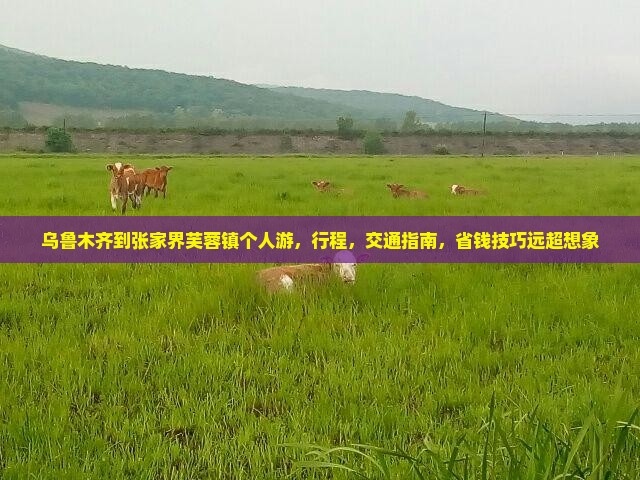 乌鲁木齐到张家界芙蓉镇个人游