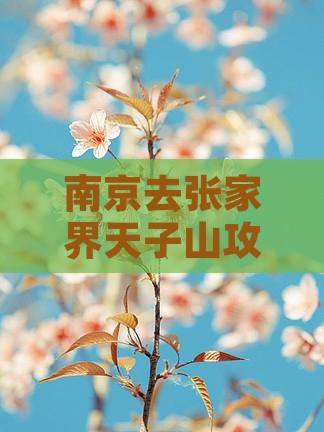 南京去张家界天子山攻略