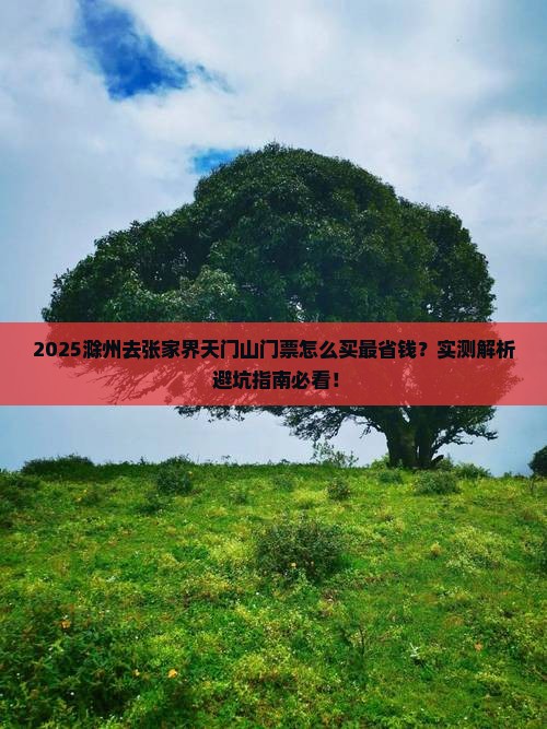 滁州去张家界天门山门票