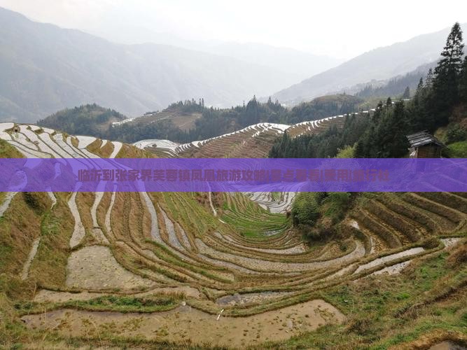 临沂到张家界芙蓉镇凤凰旅游攻略|景点看看|费用|旅行社