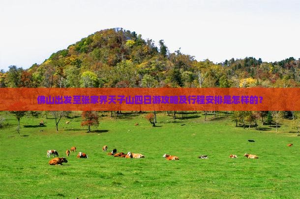 佛山出发至张家界天子山四日游攻略及行程安排是怎样的？