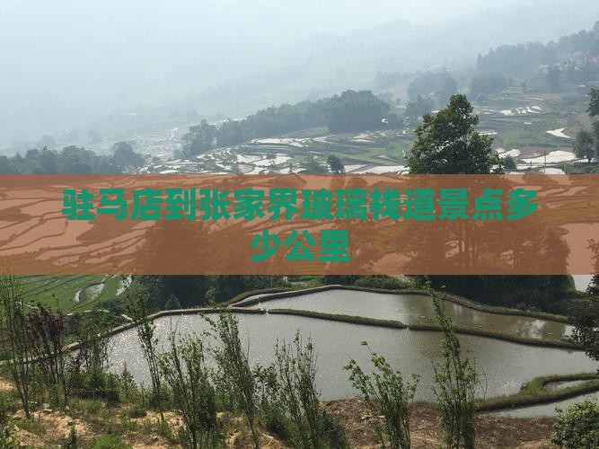 驻马店到张家界玻璃栈道景点多少公里