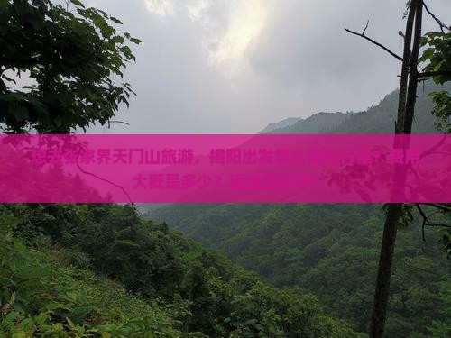 想去张家界天门山旅游，揭阳出发怎么安排行程？费用大概是多少？适合团体吗？
