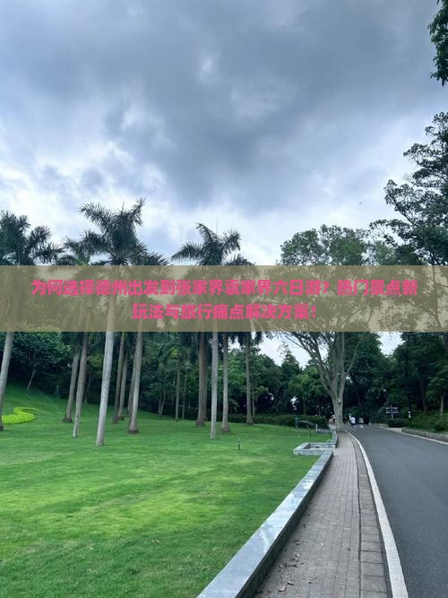 为何选择德州出发到张家界袁家界六日游？热门景点新玩法与旅行痛点解决方案！