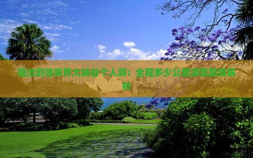 临沧到张家界大峡谷个人游：全程多少公里游览路线解析