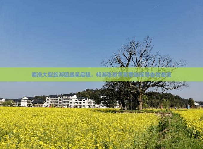 商洛大型旅游团盛装启程，畅游张家界芙蓉镇探寻自然奇观