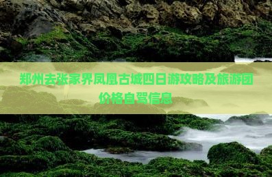 郑州去张家界凤凰古城四日游攻略及旅游团价格自驾信息