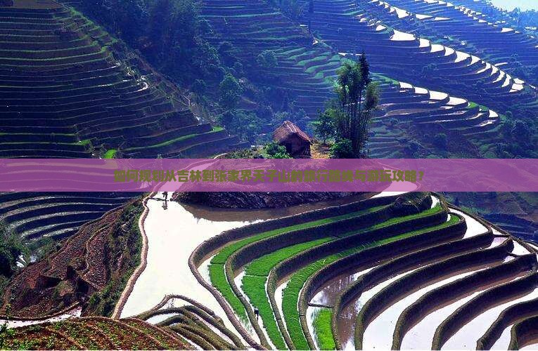 如何规划从吉林到张家界天子山的旅行路线与游玩攻略？