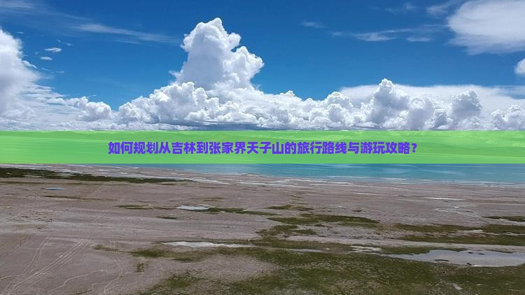如何规划从吉林到张家界天子山的旅行路线与游玩攻略？