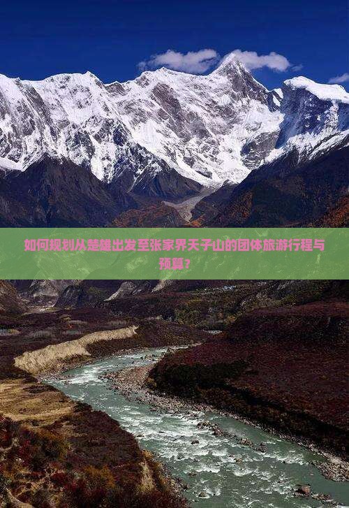 如何规划从楚雄出发至张家界天子山的团体旅游行程与预算？