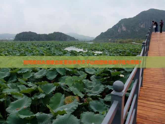 如何规划从楚雄出发至张家界天子山的团体旅游行程与预算？