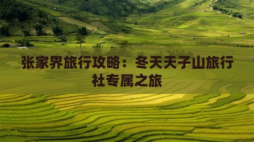 张家界旅行攻略：冬天天子山旅行社专属之旅