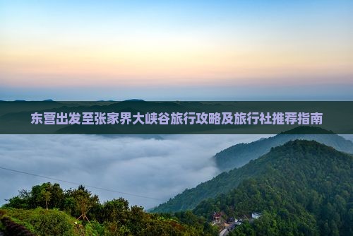 东营出发至张家界大峡谷旅行攻略及旅行社推荐指南