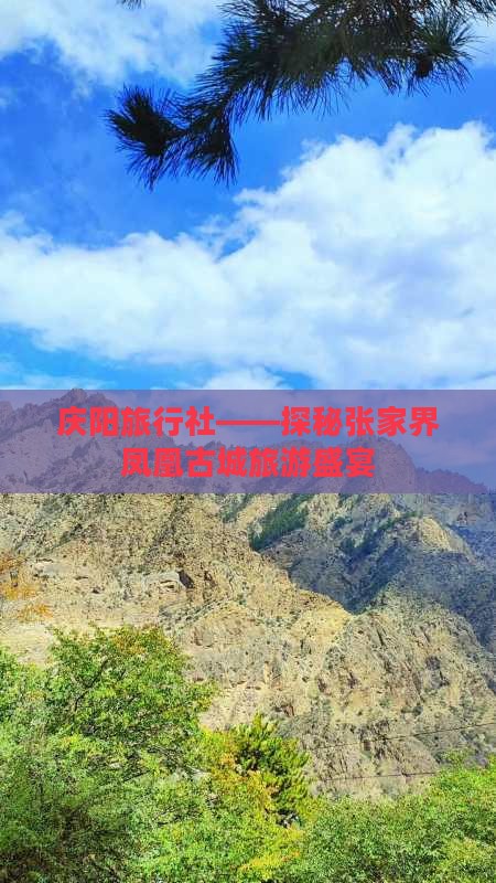 庆阳旅行社——探秘张家界凤凰古城旅游盛宴