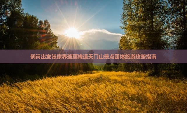 鹤岗出发张家界玻璃栈道天门山景点团体旅游攻略指南