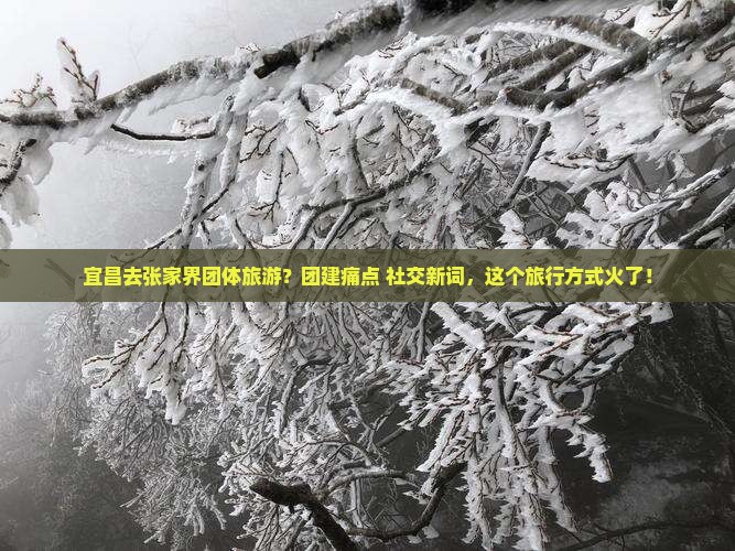 宜昌去张家界团体旅游？团建痛点+社交新词，这个旅行方式火了！