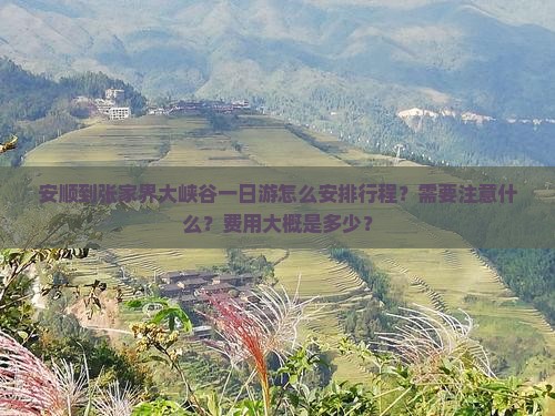 安顺到张家界大峡谷一日游怎么安排行程？需要注意什么？费用大概是多少？