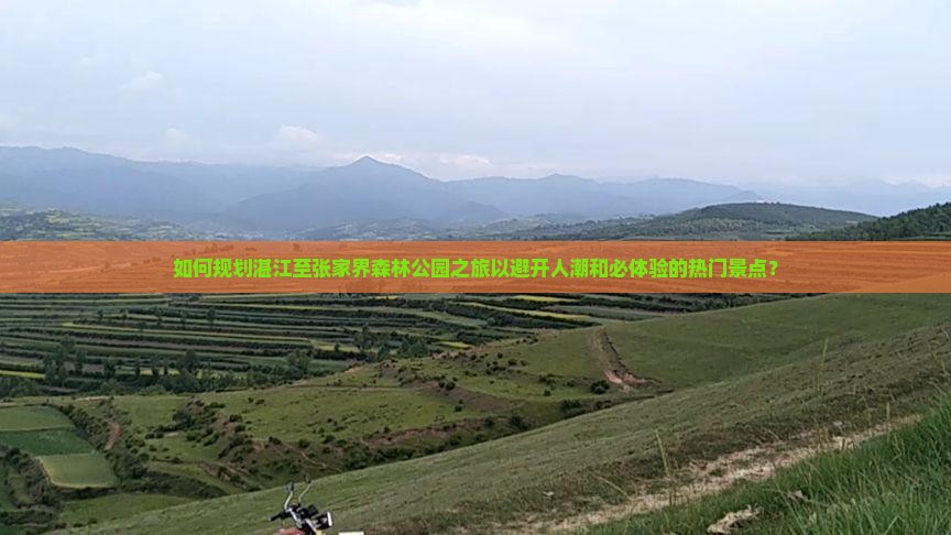 如何规划湛江至张家界森林公园之旅以避开人潮和必体验的热门景点？