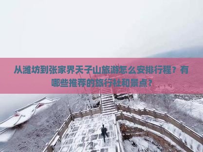 从潍坊到张家界天子山旅游怎么安排行程？有哪些推荐的旅行社和景点？