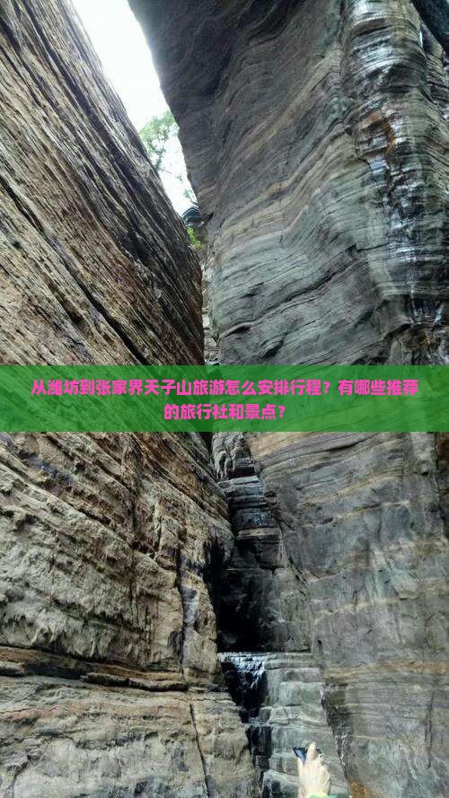 从潍坊到张家界天子山旅游怎么安排行程？有哪些推荐的旅行社和景点？